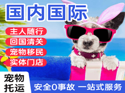 海拉尔机场托运国际宠物托运 【国